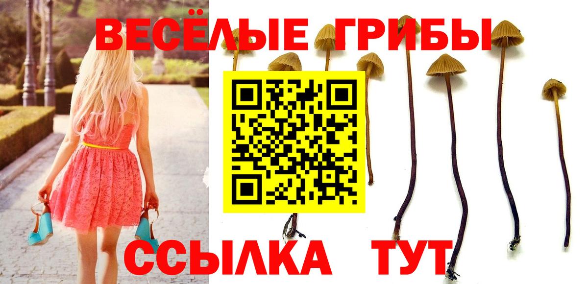 Псилоцибиновые грибы Magic Shrooms Владивосток